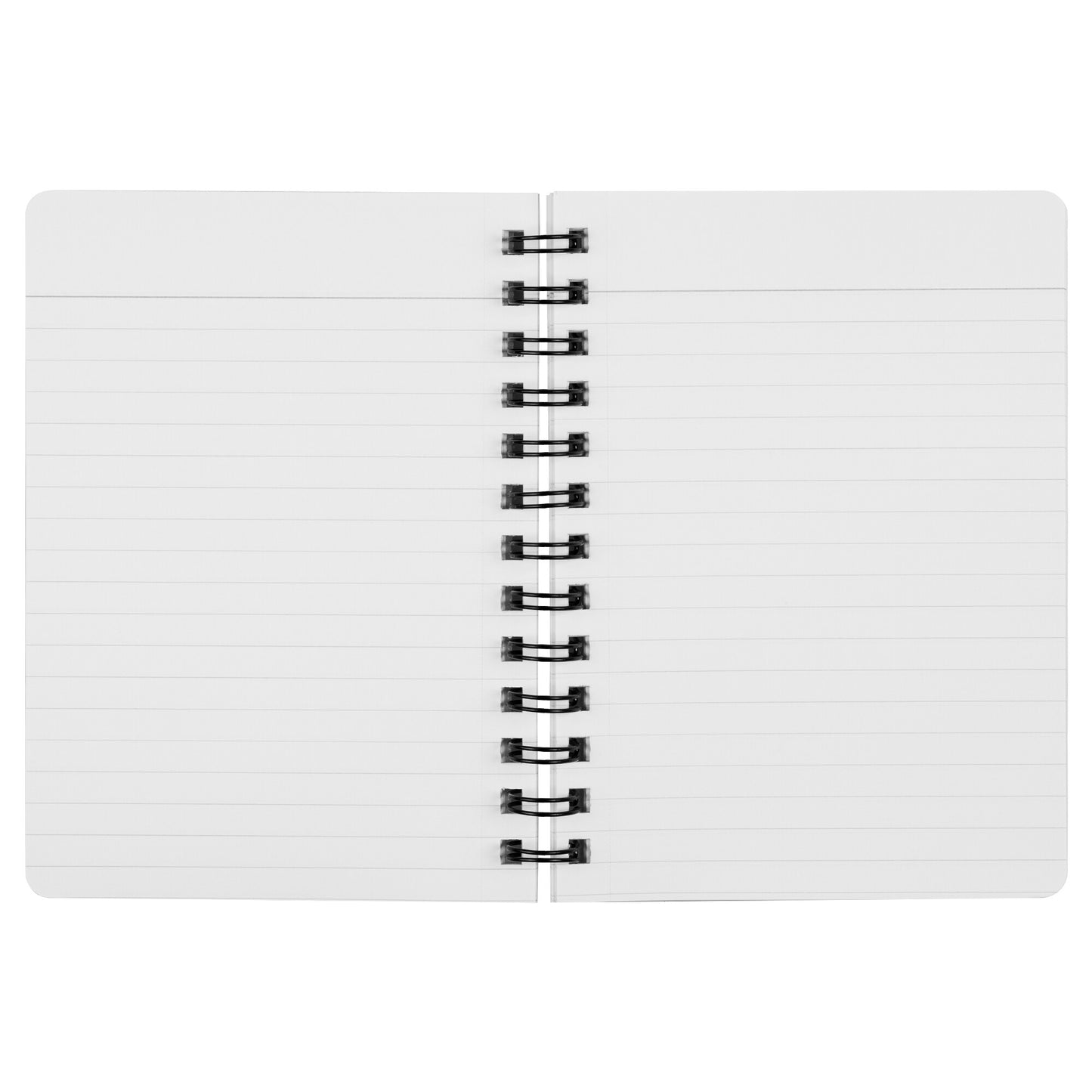 Journal